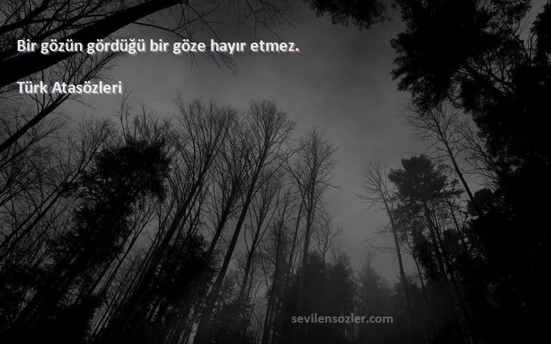 Türk Atasözleri - Bir gözün gördüğü bir göze hayır etmez.