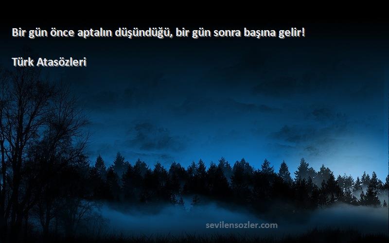 Türk Atasözleri - Bir gün önce aptalın düşündüğü, bir gün sonra başına gelir!