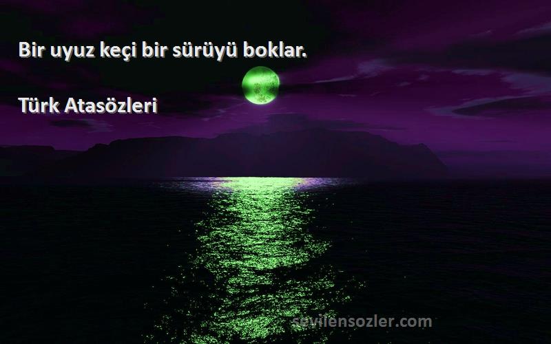 Türk Atasözleri - Bir uyuz keçi bir sürüyü boklar.