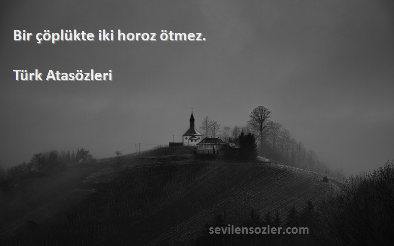 Türk Atasözleri Sözleri 
Bir çöplükte iki horoz ötmez.