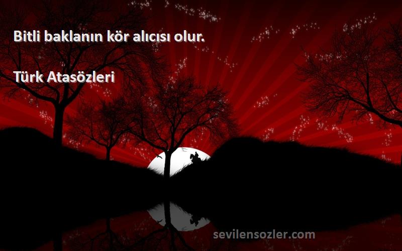 Türk Atasözleri - Bitli baklanın kör alıcısı olur.