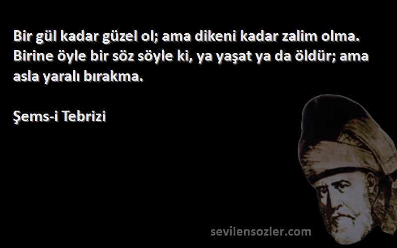 Şems-i Tebrizi Sözleri 
Bir gül kadar güzel ol; ama dikeni kadar zalim olma. Birine öyle bir söz söyle ki, ya yaşat ya da öldür; ama asla yaralı bırakma.