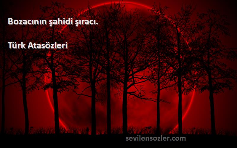 Türk Atasözleri - Bozacının şahidi şıracı.