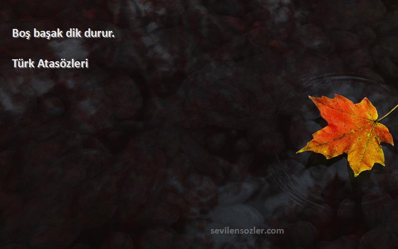 Türk Atasözleri - Boş başak dik durur.