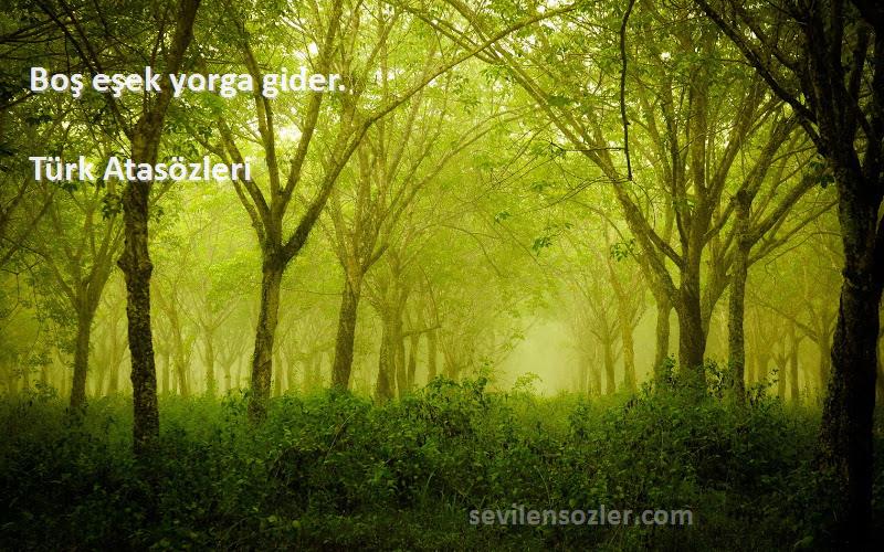 Türk Atasözleri - Boş eşek yorga gider.