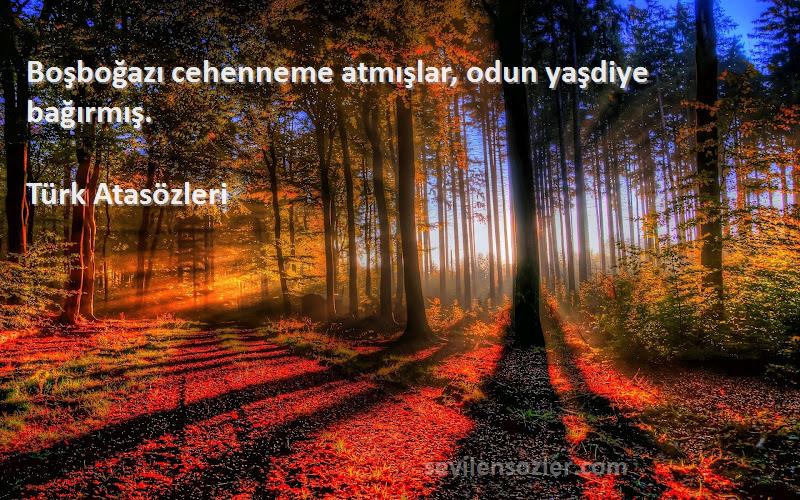 Türk Atasözleri - Boşboğazı cehenneme atmışlar, odun yaşdiye bağırmış.