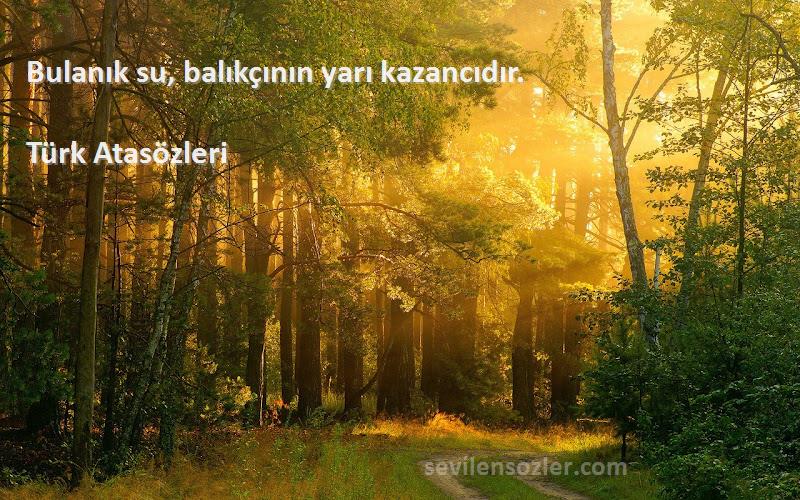 Türk Atasözleri - Bulanık su, balıkçının yarı kazancıdır.