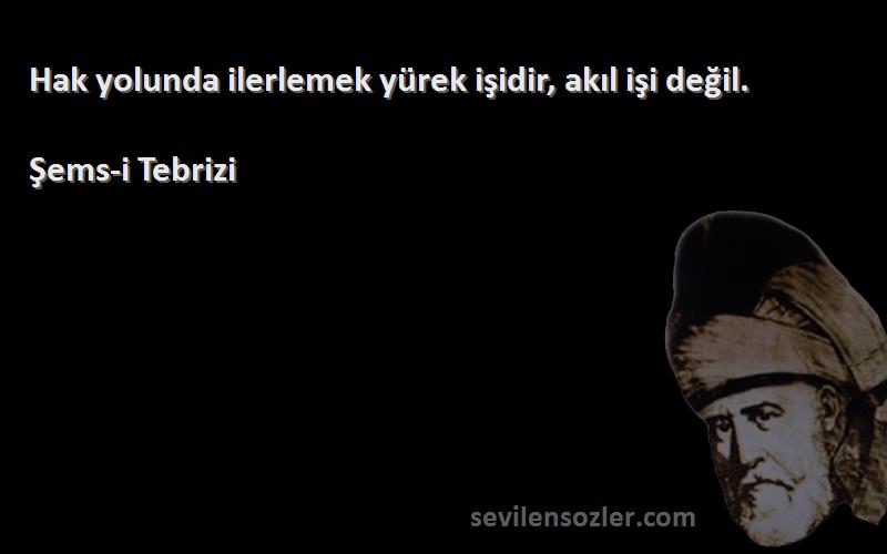 Şems-i Tebrizi - Hak yolunda ilerlemek yürek işidir, akıl işi değil.