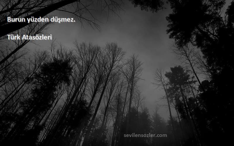 Türk Atasözleri - Burun yüzden düşmez.