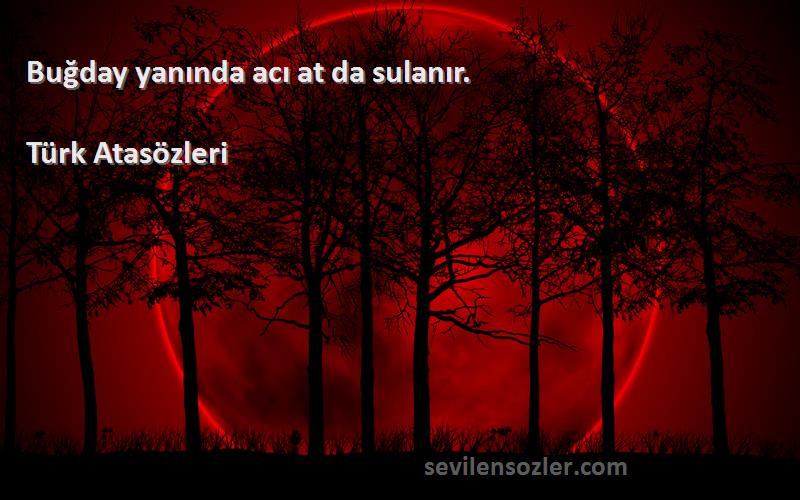 Türk Atasözleri - Buğday yanında acı at da sulanır.