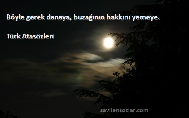 Türk Atasözleri - Böyle gerek danaya, buzağının hakkını yemeye.