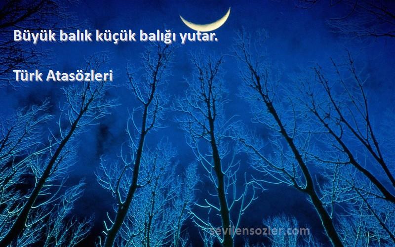 Türk Atasözleri - Büyük balık küçük balığı yutar.