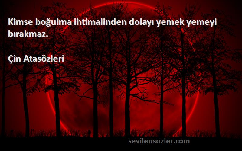 Çin Atasözleri - Kimse boğulma ihtimalinden dolayı yemek yemeyi bırakmaz.