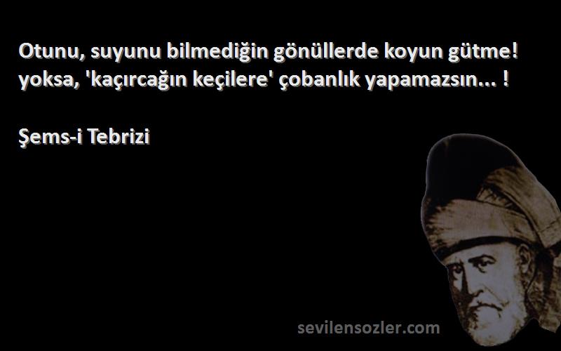 Şems-i Tebrizi Sözleri 
Otunu, suyunu bilmediğin gönüllerde koyun gütme! yoksa, 'kaçırcağın keçilere' çobanlık yapamazsın... !