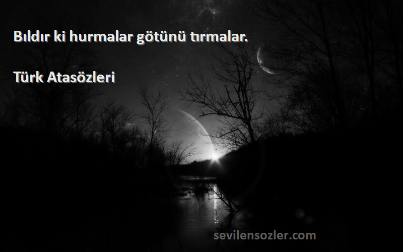 Türk Atasözleri - Bıldır ki hurmalar götünü tırmalar.