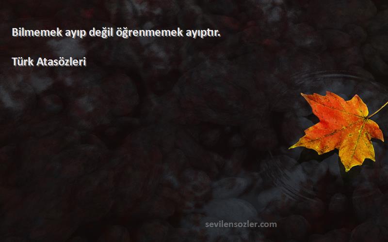 Türk Atasözleri - Bilmemek ayıp değil öğrenmemek ayıptır.