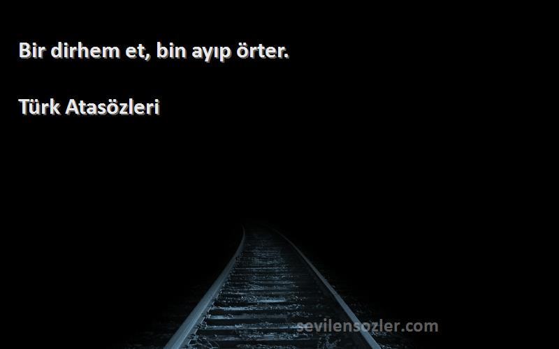 Türk Atasözleri - Bir dirhem et, bin ayıp örter.