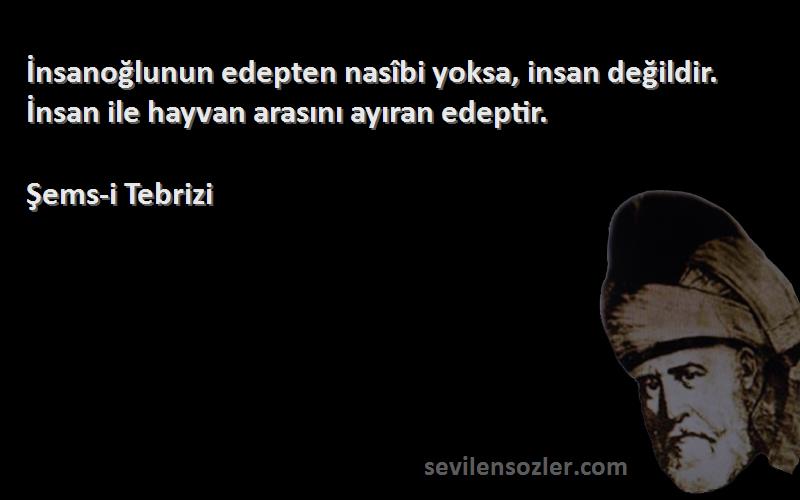 Şems-i Tebrizi - İnsanoğlunun edepten nasîbi yoksa, insan değildir. İnsan ile hayvan arasını ayıran edeptir.