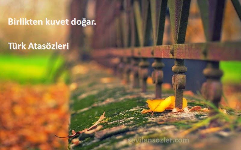 Türk Atasözleri - Birlikten kuvet doğar.