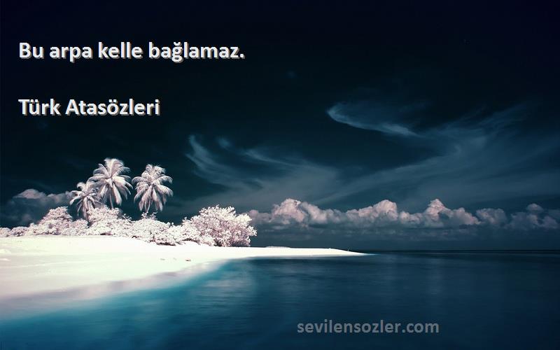 Türk Atasözleri - Bu arpa kelle bağlamaz.