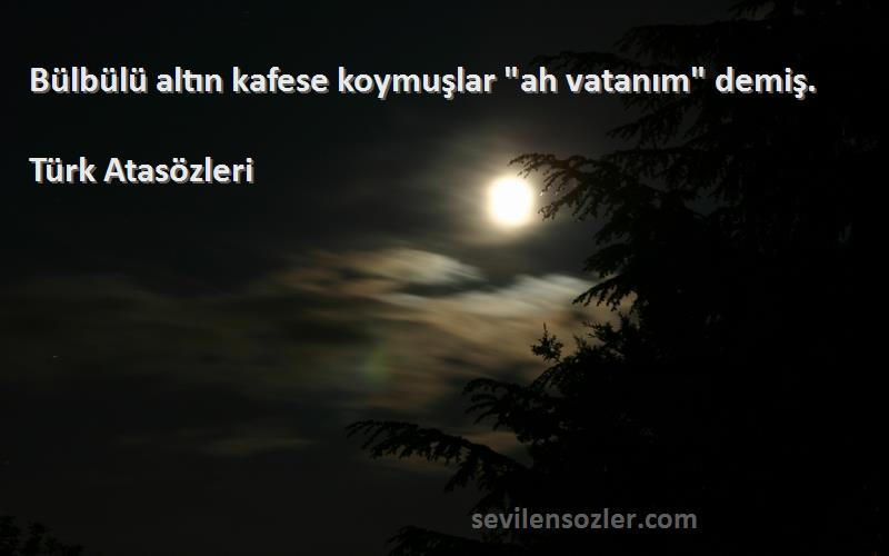 Türk Atasözleri - Bülbülü altın kafese koymuşlar ah vatanım demiş.