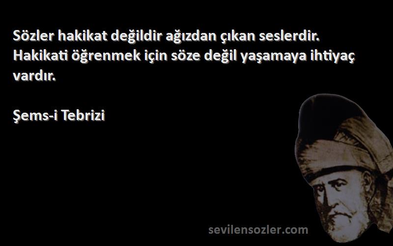 Şems-i Tebrizi Sözleri 
Sözler hakikat değildir ağızdan çıkan seslerdir. Hakikati öğrenmek için söze değil yaşamaya ihtiyaç vardır.