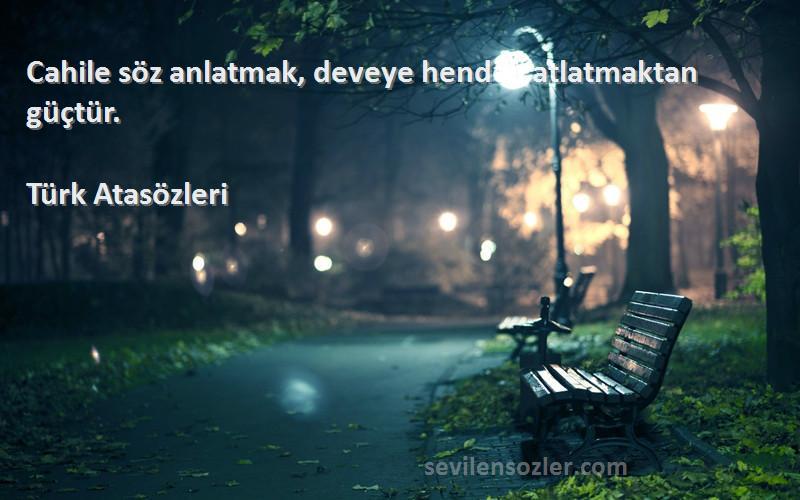 Türk Atasözleri Sözleri 
Cahile söz anlatmak, deveye hendek atlatmaktan güçtür.