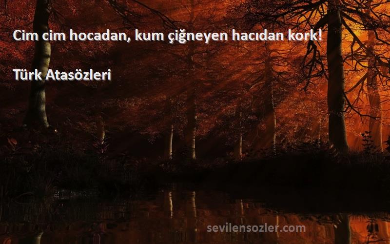 Türk Atasözleri - Cim cim hocadan, kum çiğneyen hacıdan kork!