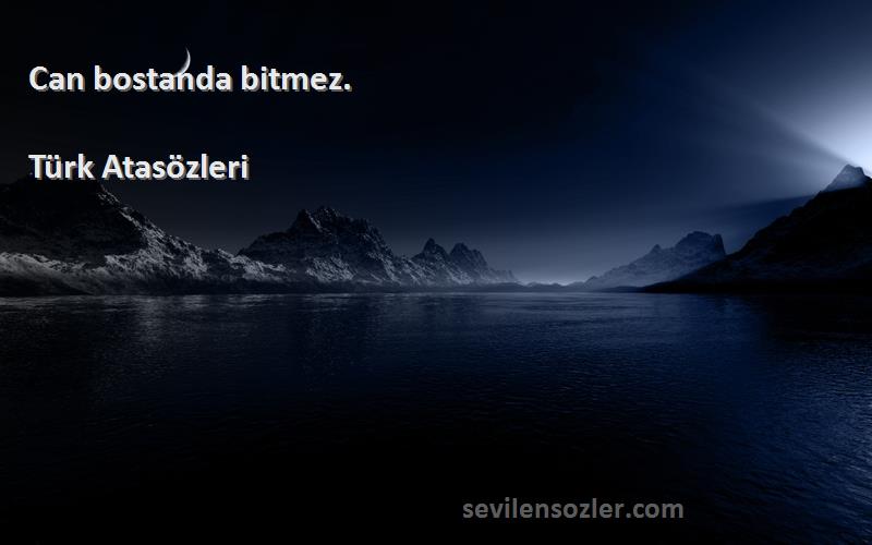 Türk Atasözleri - Can bostanda bitmez.