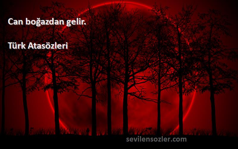 Türk Atasözleri - Can boğazdan gelir.