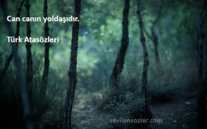 Türk Atasözleri - Can canın yoldaşıdır.