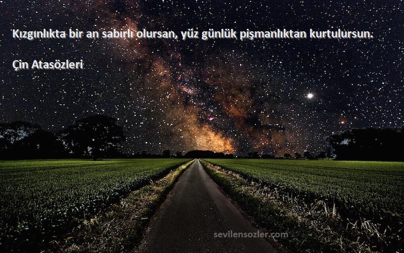 Çin Atasözleri - Kızgınlıkta bir an sabırlı olursan, yüz günlük pişmanlıktan kurtulursun.