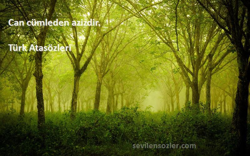 Türk Atasözleri - Can cümleden azizdir.