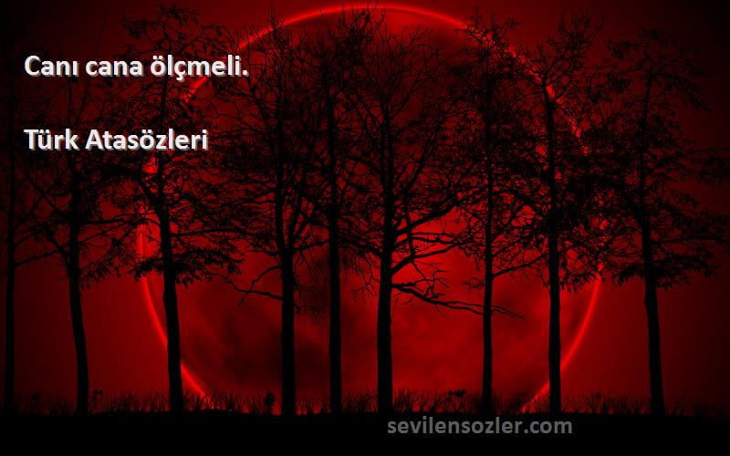 Türk Atasözleri - Canı cana ölçmeli.