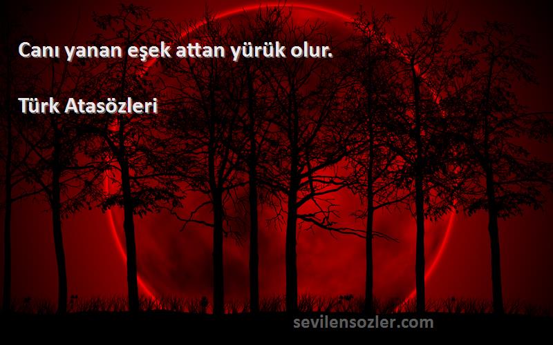 Türk Atasözleri - Canı yanan eşek attan yürük olur.