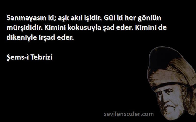 Şems-i Tebrizi Sözleri 
Sanmayasın ki; aşk akıl işidir. Gül ki her gönlün mürşididir. Kimini kokusuyla şad eder. Kimini de dikeniyle irşad eder.