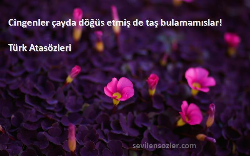 Türk Atasözleri - Cingenler çayda döğüs etmiş de taş bulamamıslar!