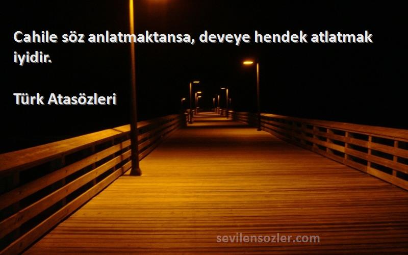Türk Atasözleri Sözleri 
Cahile söz anlatmaktansa, deveye hendek atlatmak iyidir.