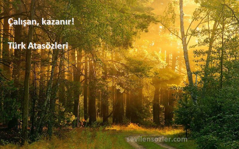 Türk Atasözleri - Çalışan, kazanır!