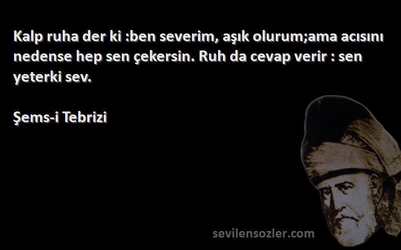 Şems-i Tebrizi Sözleri 
Kalp ruha der ki :ben severim, aşık olurum;ama acısını nedense hep sen çekersin. Ruh da cevap verir : sen yeterki sev.