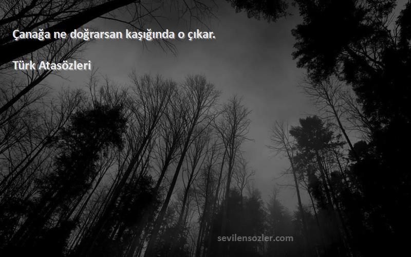 Türk Atasözleri - Çanağa ne doğrarsan kaşığında o çıkar.