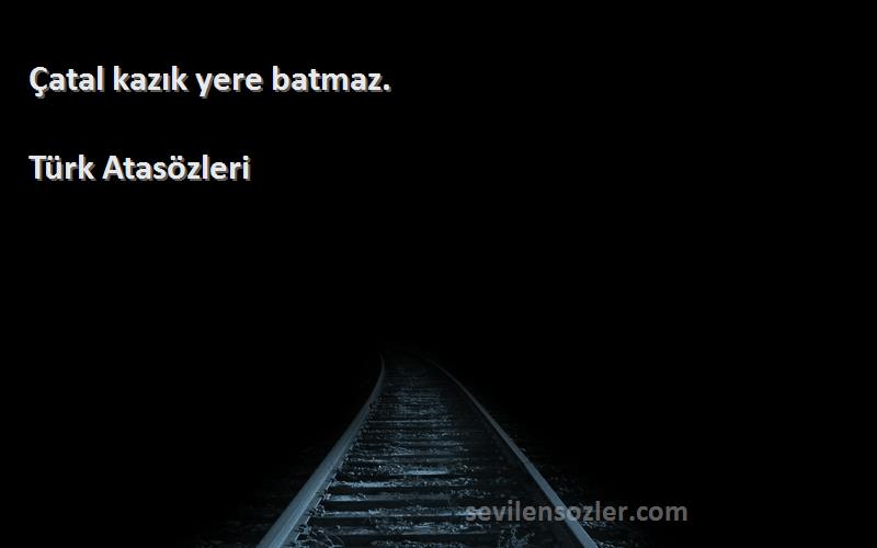 Türk Atasözleri Sözleri 
Çatal kazık yere batmaz.