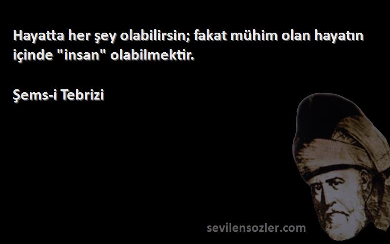 Şems-i Tebrizi - Hayatta her şey olabilirsin; fakat mühim olan hayatın içinde insan olabilmektir.