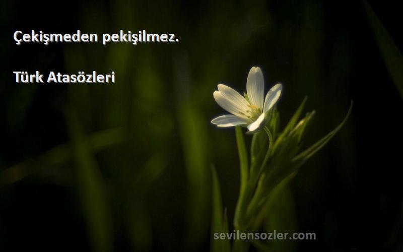 Türk Atasözleri - Çekişmeden pekişilmez.