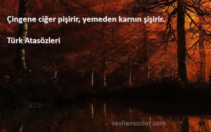 Türk Atasözleri - Çingene ciğer pişirir, yemeden karnın şişirir.