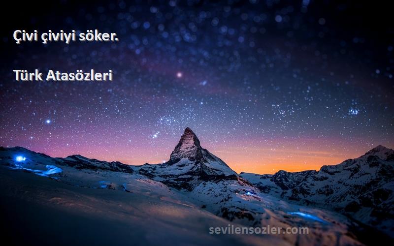 Türk Atasözleri - Çivi çiviyi söker.