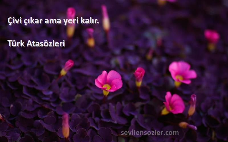 Türk Atasözleri - Çivi çıkar ama yeri kalır.