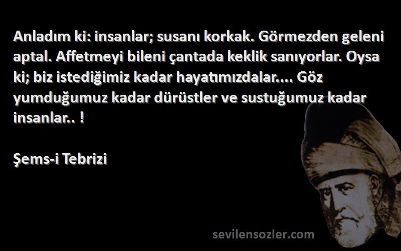 Şems-i Tebrizi Sözleri 
Anladım ki: insanlar; susanı korkak. Görmezden geleni aptal. Affetmeyi bileni çantada keklik sanıyorlar. Oysa ki; biz istediğimiz kadar hayatımızdalar.... Göz yumduğumuz kadar dürüstler ve sustuğumuz kadar insanlar.. !