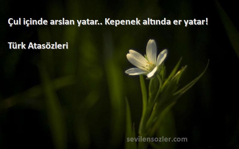 Türk Atasözleri - Çul içinde arslan yatar.. Kepenek altında er yatar!