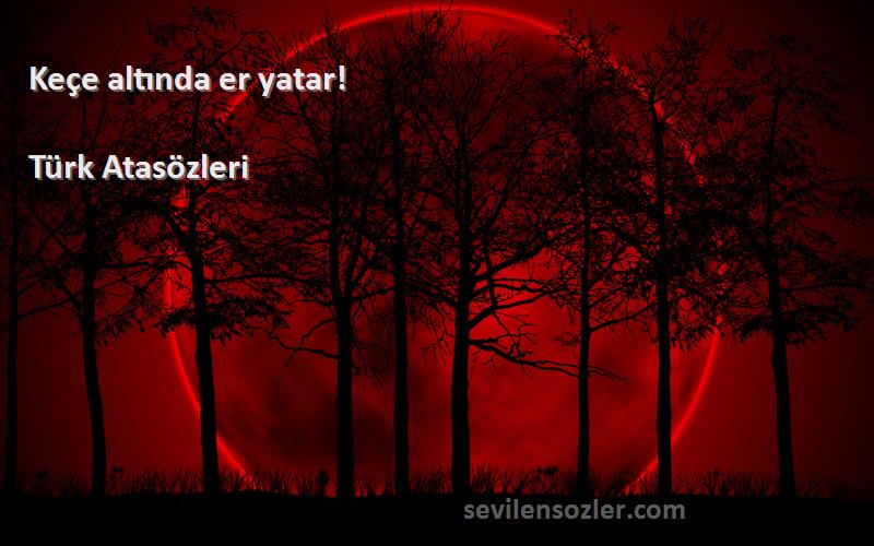 Türk Atasözleri - Keçe altında er yatar!